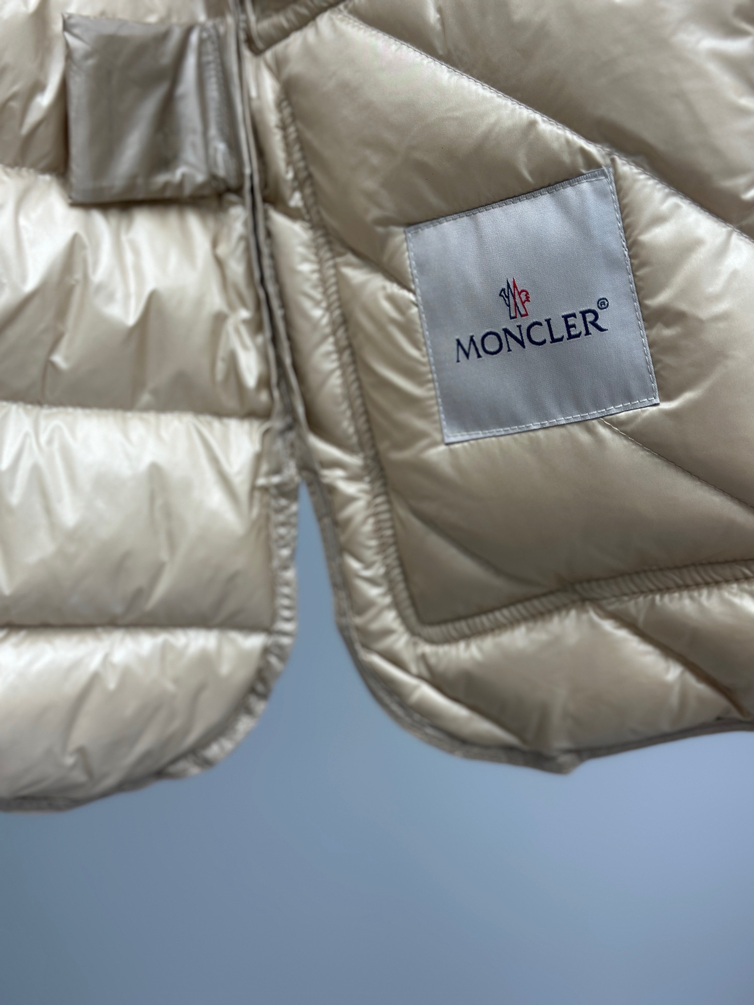 Moncler Down Jackets